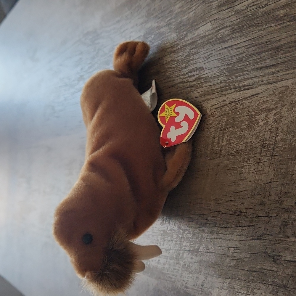 Paul The Walrus Beanie Baby